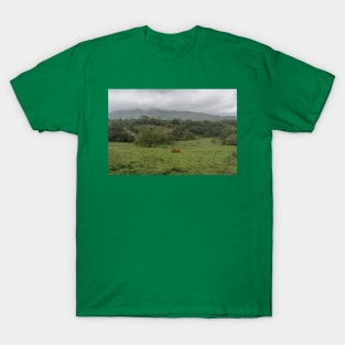 Scenic inner Kauai rural scene, Hawaii T-Shirt